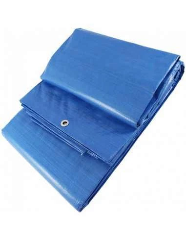 Toldo Cobertura 250Grs 5x8Mts c/ lhós