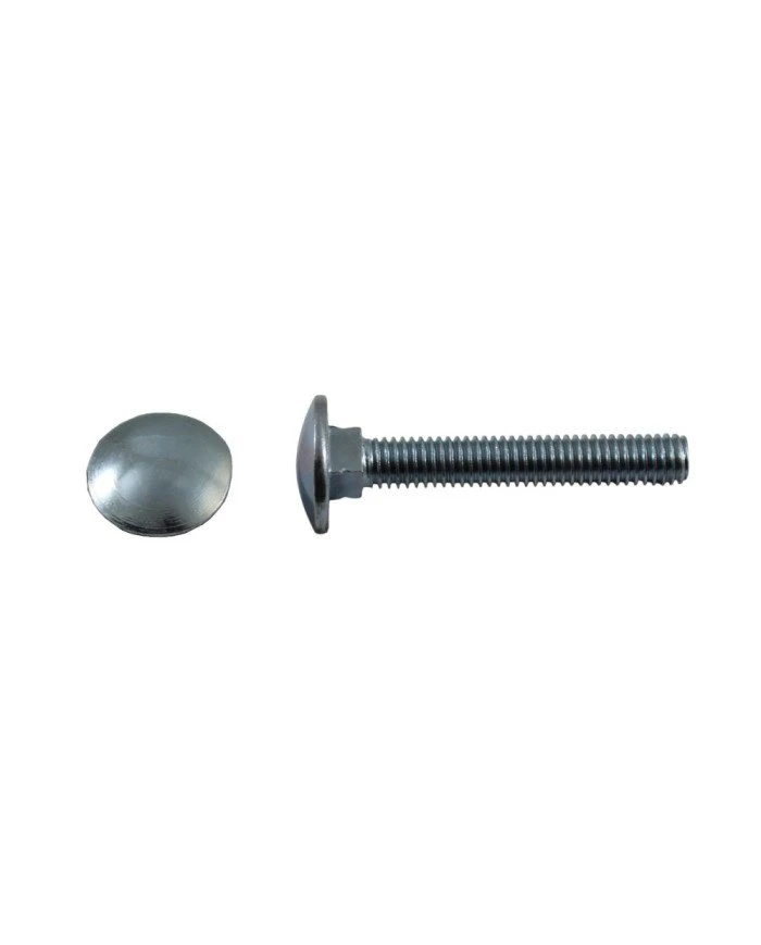 Parafuso Oval e Quadra Zinc DIN 603 M6x035