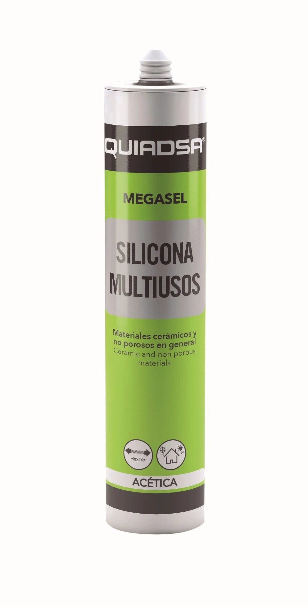 MEGASEL Selador de Silic. Acétº. UG.Trans Ctr.280ml